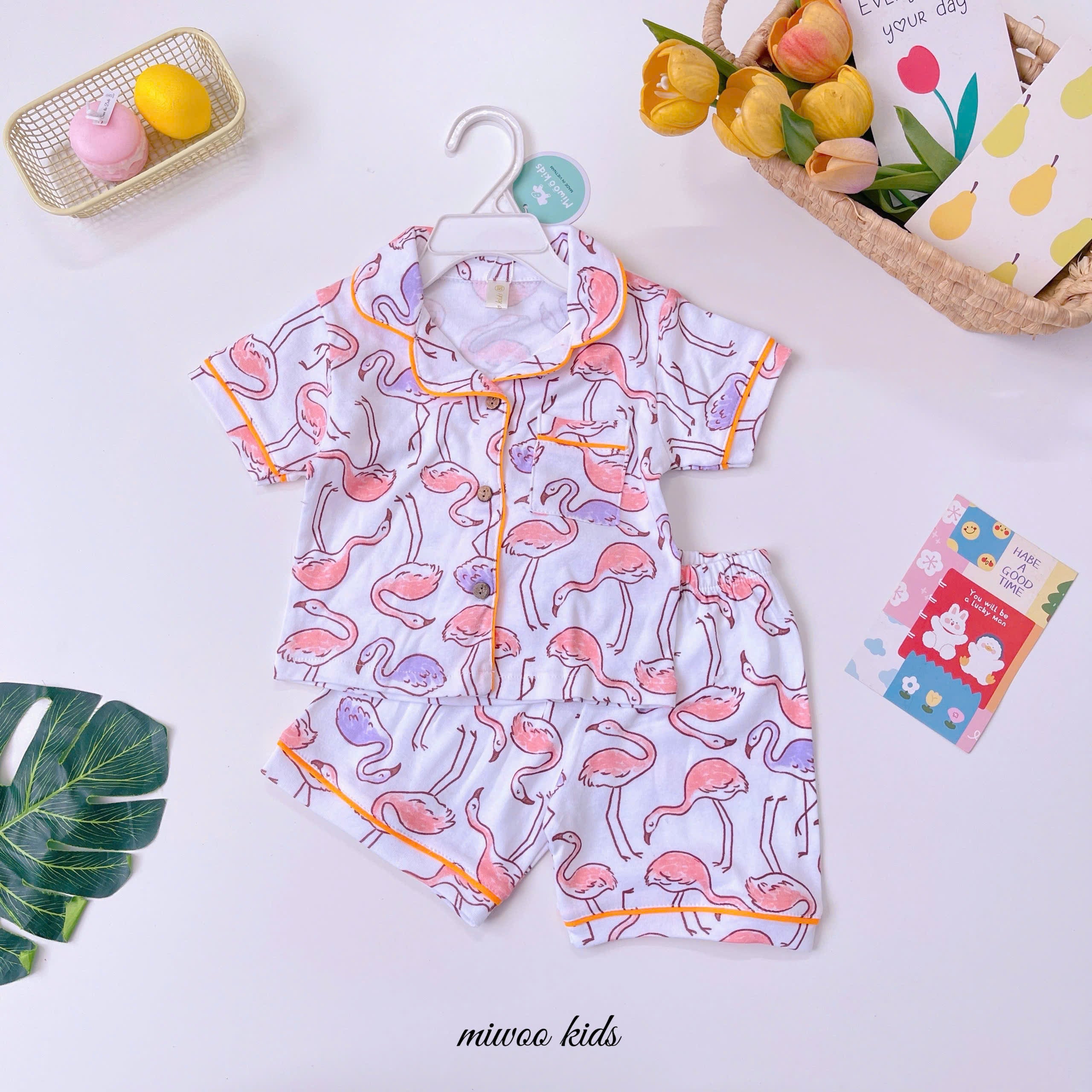 Picnic Collection