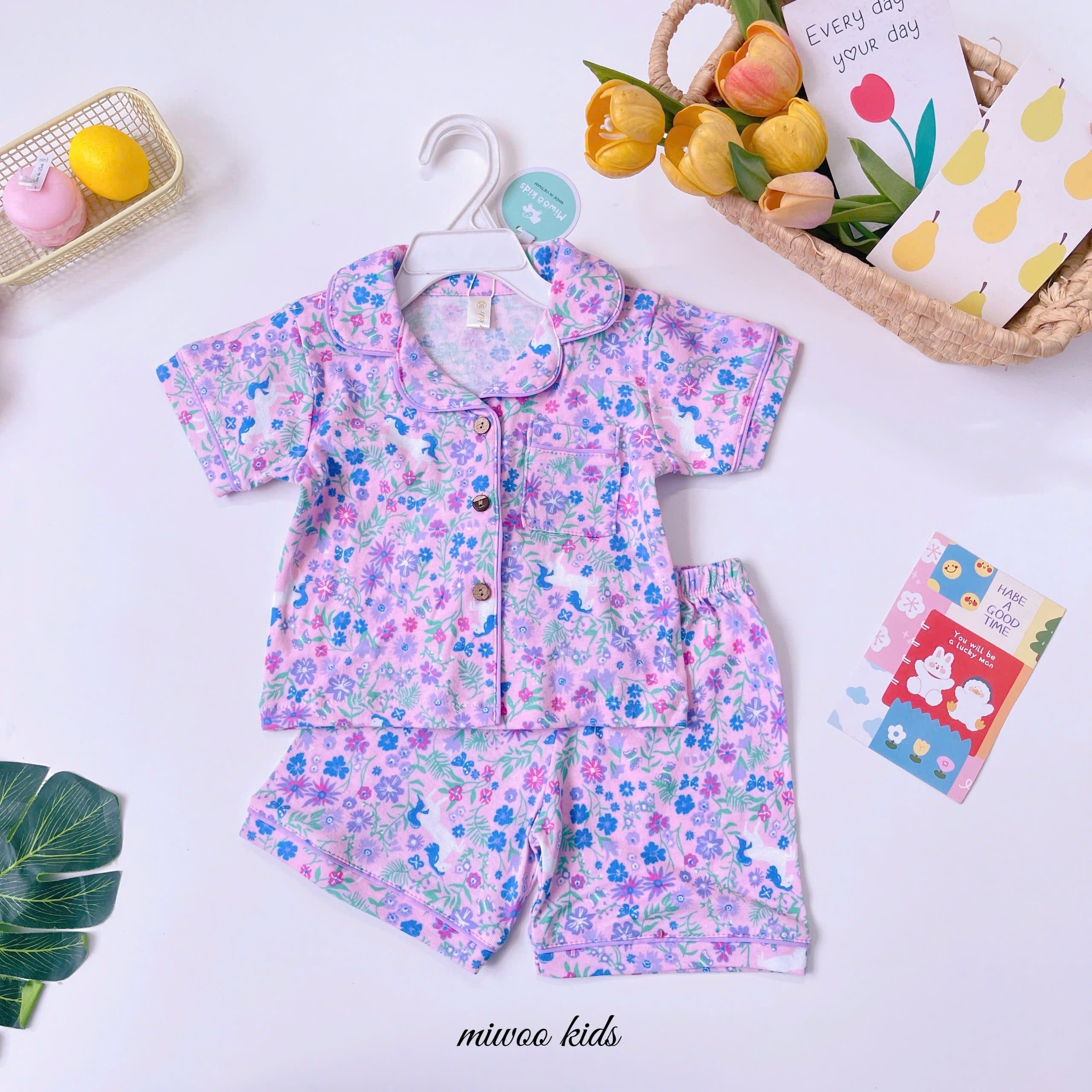 Picnic Collection
