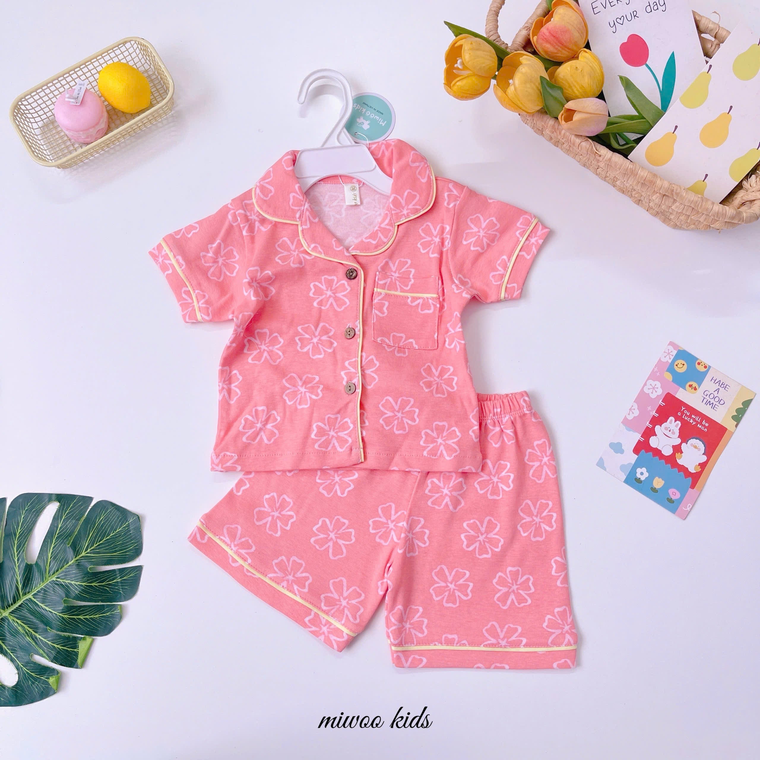 Picnic Collection