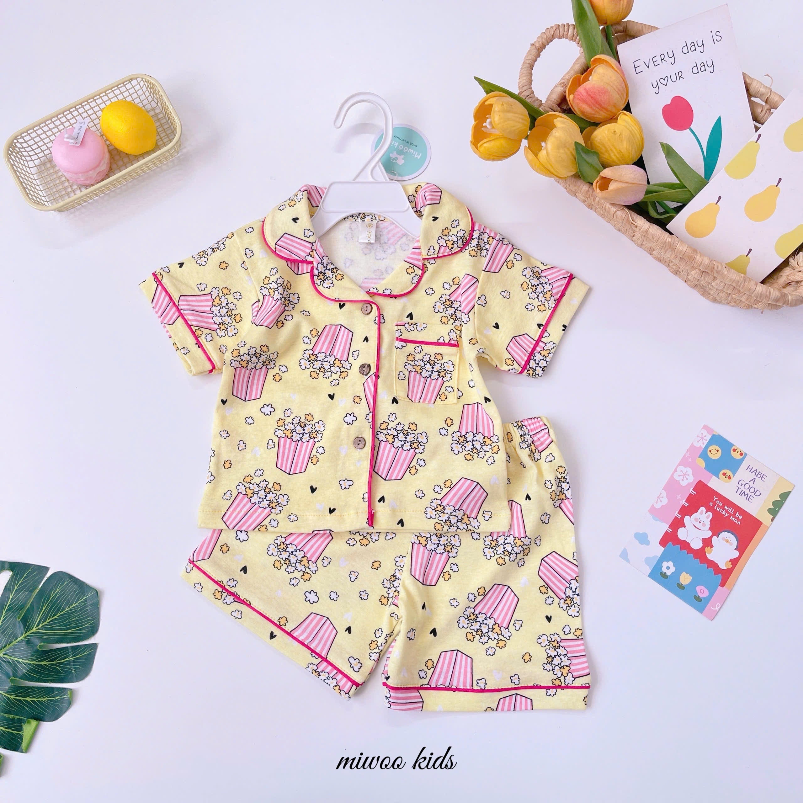 Picnic Collection